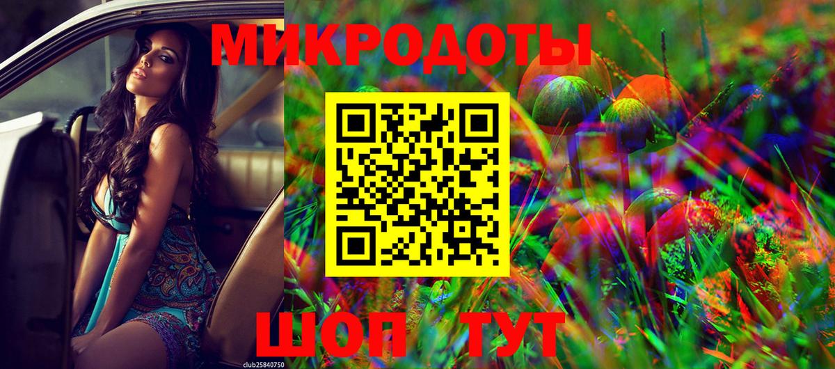 Новозыбков  Галлюциногенные грибы Cubensis  Вход с VPN 
