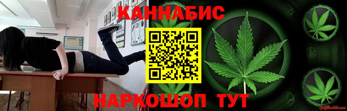 Марихуана AK-47  Вход с VPN  Новозыбков  Шишки марихуана гибрид  МАРИХУАНА гибрид  Каннабис MAZAR 